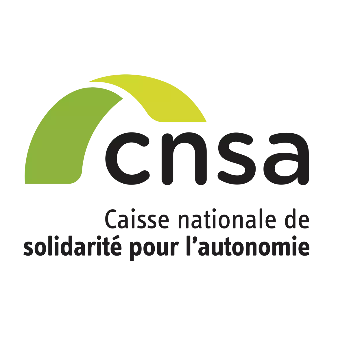 CNSA-logo-1